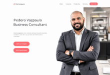 Pedrovazpaulo Business Consultant